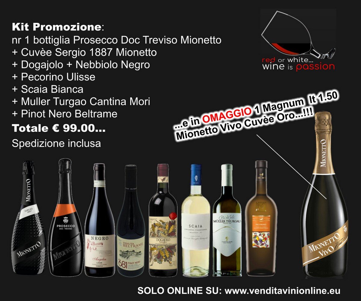 e-commerce vino Vendita vino online